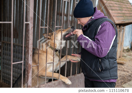 Girl volunteer in the nursery for dogs. Shelter for stray dogs. 115110678