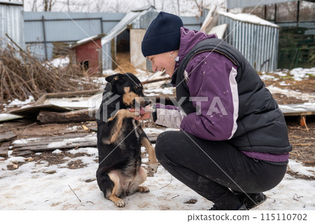 Girl volunteer in the nursery for dogs. Shelter for stray dogs. 115110702
