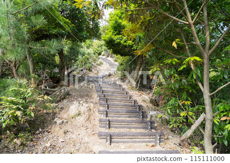卡智山登山道(山陰海岸地質公園) 卡智山登山道(山陰海岸地質公園) 115111000