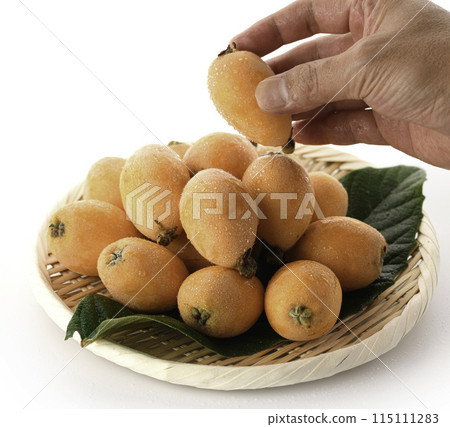 初夏的味道-枇杷(香川縣產),大藥樹,白色背景 初夏的味道-枇杷(香川縣產),大藥樹,白色背景 115111283
