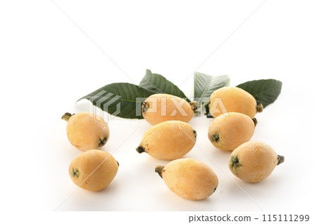 Taste of early summer: Loquat (Kagawa Prefecture) Daiyakuoju white background Taste of early summer: Loquat (Kagawa Prefecture) Daiyakuoju white background 115111299