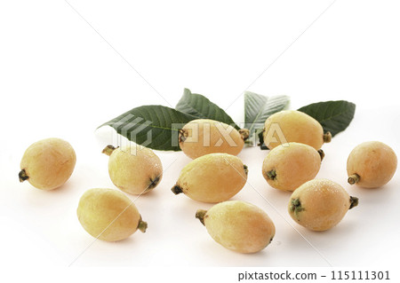 初夏的味道-枇杷（香川縣產），大藥樹，白色背景 115111301