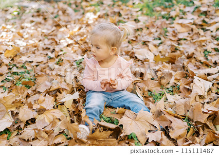 Little girl sits among the fallen leaves in the park and looks away Little girl sits among the fallen leaves in the park and looks away 115111487