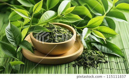 Fresh tea leaves 3 115111837
