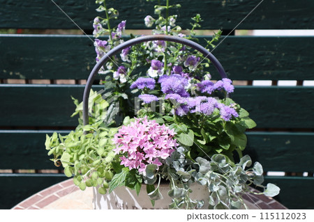 Flower arrangement using Angelonia 115112023