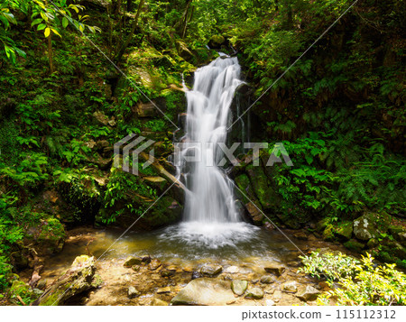 [Nara Prefecture] Uguisu Falls, Nara City (photographed on May 30, 2024) 115112312