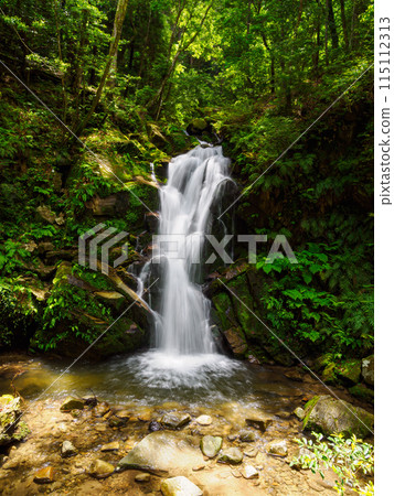 [Nara Prefecture] Uguisu Falls, Nara City (photographed on May 30, 2024) 115112313