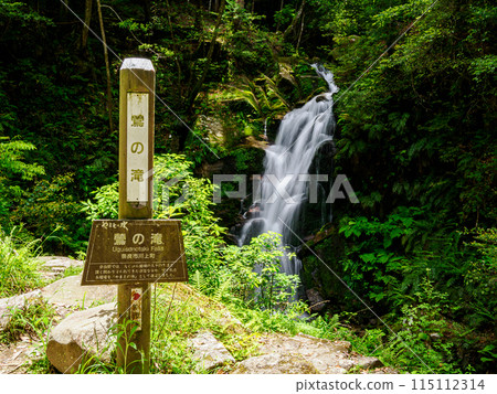 [Nara Prefecture] Uguisu Falls, Nara City (photographed on May 30, 2024) 115112314