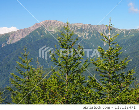 Summer in the Southern Alps, Mt. Aino Summer in the Southern Alps, Mt. Aino 115112471