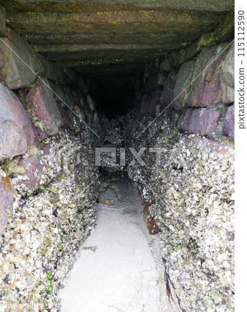 Barnacle 03 Barnacle 03 115112590