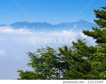 Summer Southern Alps as seen from the Yatsugatake Ebigasayama hiking trail 115112597