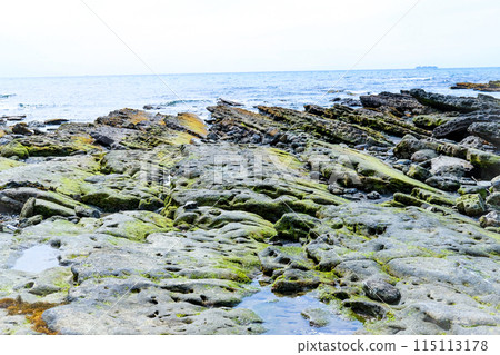 長在岩石上的苔蘚 長在岩石上的苔蘚 115113178