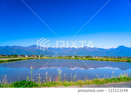 [Early summer material] Azumino's rural scenery and water reflection in early summer [Nagano Prefecture] 115113249