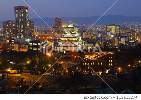 Osaka Castle Light Up Osaka Castle Light Up 115113274