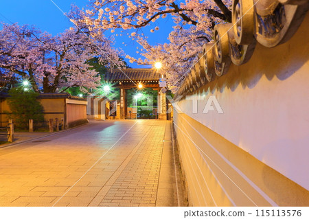 Gion night cherry tree 115113576