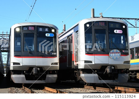 Tokyu Corporation 5080 series and 5050 series trains lined up at the depot (with the "Thank You Toyoko Shibuya" headmark on display) Tokyu Corporation 5080 series and 5050 series trains lined up at the depot (with the "Thank You Toyoko Shibuya" headmark on display) 115113924