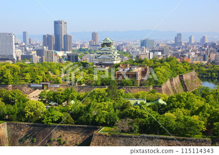 大阪城鮮綠 115114343
