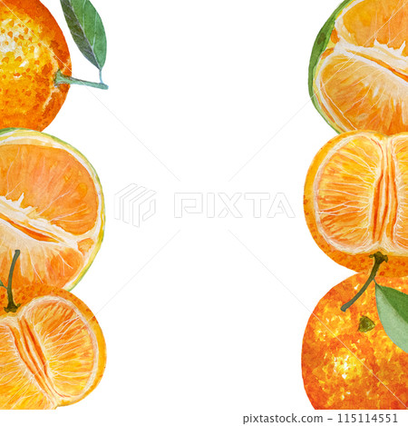 Citrus, orange, mandarine slice, leaf vertical watercolor frame isolated on white. High quality hand drawn art for food design, packages, restaurant menu, cards, organic food, label, logo and decor Citrus, orange, mandarine slice, leaf vertical watercolor frame isolated on white. High quality hand drawn art for food design, packages, restaurant menu, cards, organic food, label, logo and decor 115114551