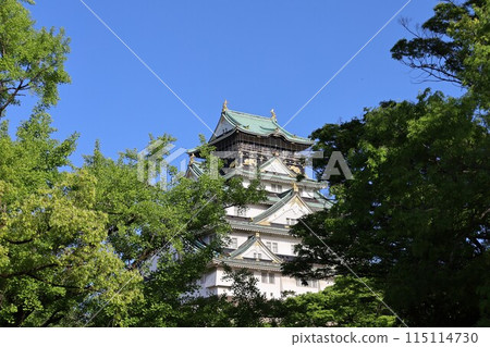 大阪城公園,從 Towerman 休息室看到的新鮮綠色大阪城,初夏,夏季,春天,大阪城,大阪觀光,陽光明媚的日子大阪城 大阪城公園,從 Towerman 休息室看到的新鮮綠色大阪城,初夏,夏季,春天,大阪城,大阪觀光,陽光明媚的日子大阪城 115114730