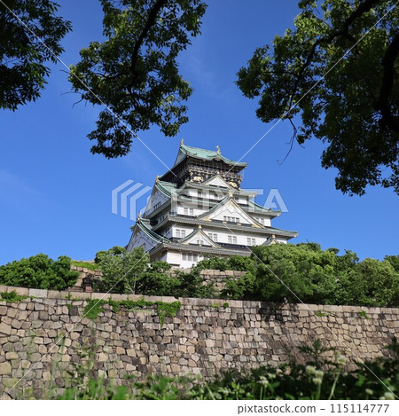 大阪城公園，從 Towerman 休息室看到的新鮮綠色大阪城，初夏，夏季，春天，大阪城，大阪觀光，陽光明媚的日子大阪城 115114777
