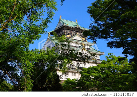Osaka Castle, spring, summer, early summer, autumn, Osaka Castle with fresh greenery seen from a tower mansion lounge, Osaka Castle Park, Osaka sightseeing, Kansai sightseeing 115115037