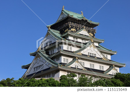 Osaka Castle, spring, summer, early summer, autumn, Osaka Castle with fresh greenery seen from a tower mansion lounge, Osaka Castle Park, Osaka sightseeing, Kansai sightseeing 115115049