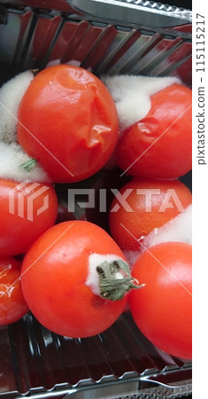 Mold from rotten tomatoes 115115217