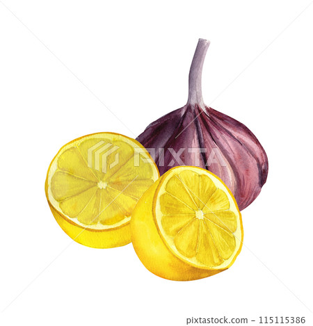 Lemon and garlic, watercolor hand painted, isolated on white background. Decoration for kitchen, for restaurant menus, recipes, plates and dishes Lemon and garlic, watercolor hand painted, isolated on white background. Decoration for kitchen, for restaurant menus, recipes, plates and dishes 115115386