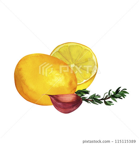 Lemon, thyme and garlic, watercolor hand painted, isolated on white background. Decoration for kitchen, for restaurant menus, recipes, plates 115115389