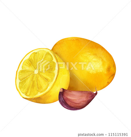 Lemon and garlic, watercolor hand painted, isolated on white background. Decoration for kitchen, for restaurant menus, recipes, plates and dishes 115115391