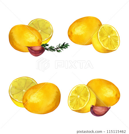 Lemon and garlic, watercolor hand painted, isolated on white background. Decoration for kitchen, for restaurant menus, recipes, plates and dishes 115115462