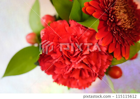 Carnation Mother's Day 115115612