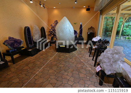 [九州/熊本] 白河水源。阿蘇山腳下湧出的水清澈見底、美麗動人，讓您領略大自然的恩賜。 115115919