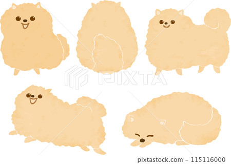 博美犬各種姿勢的插圖集 博美犬各種姿勢的插圖集 115116000