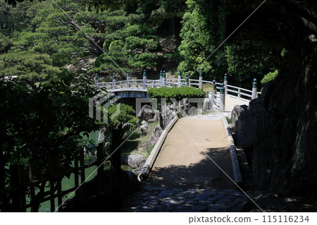Fresh greenery at Ritsurin Garden (Early May, Geishun Bridge) 115116234