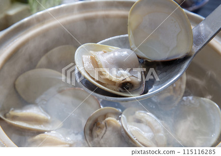 蛤蜊涮鍋、蛤蜊火鍋、蛤蜊料理 蛤蜊涮鍋、蛤蜊火鍋、蛤蜊料理 115116285