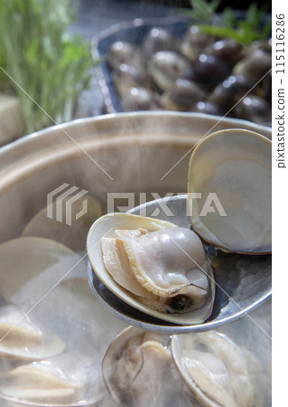 蛤蜊涮鍋、蛤蜊火鍋、蛤蜊料理 115116286