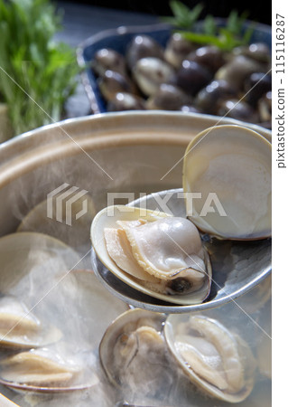 蛤蜊涮鍋、蛤蜊火鍋、蛤蜊料理 蛤蜊涮鍋、蛤蜊火鍋、蛤蜊料理 115116287