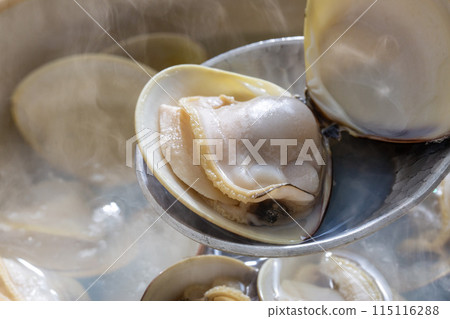 Clam shabu-shabu, clam hotpot, clam dishes Clam shabu-shabu, clam hotpot, clam dishes 115116288