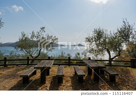 道之驛小豆島橄欖公園 115116407