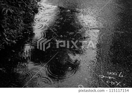 Cityscape Raindrops 115117154