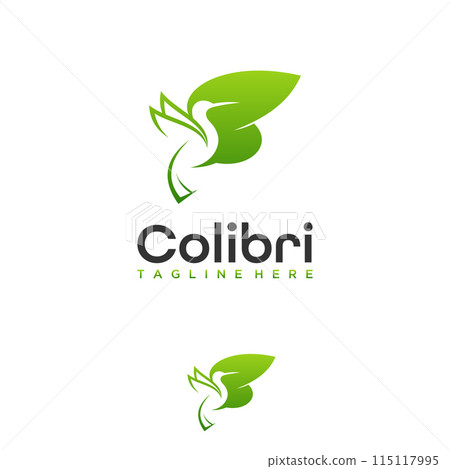 Hummingbird logo design vector template Hummingbird logo design vector template 115117995