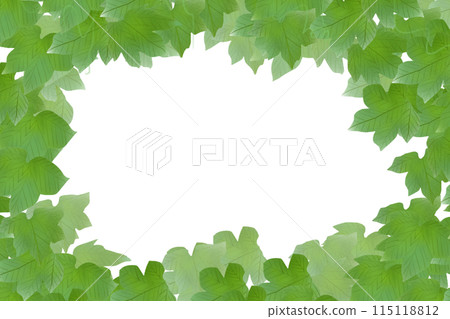 Loofah Leaf Card 2 115118812