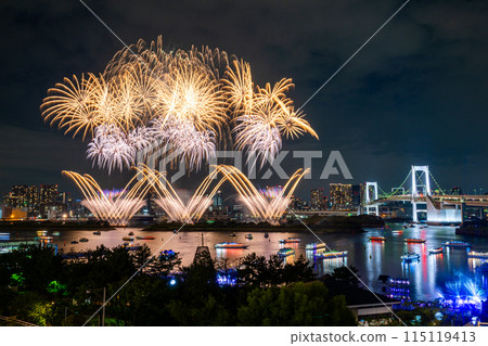 台場煙火大會 <STAR ISLAND 2024 台場> 115119413