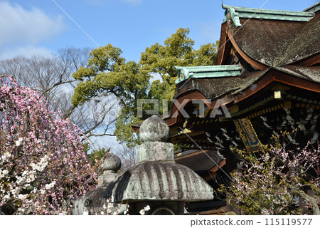 Kitano Tenmangu Shrine: Sankomon Gate and Plum Blossoms Kitano Tenmangu Shrine: Sankomon Gate and Plum Blossoms 115119577