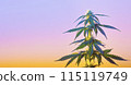 Green cannabis plant on gentle gradient yellow purple background. Long vibrant banner with tropical marijuana hemp plant and copy space for text 115119749