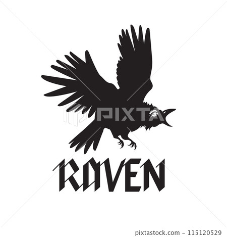 Raven bird vector illustration, logo raven, emblem black and white, one color. 115120529