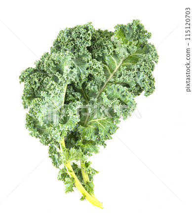 Fresh cale lettuce leaf on a white isolated background. Vegetarian and dietary healthy food product Fresh cale lettuce leaf on a white isolated background. Vegetarian and dietary healthy food product 115120703