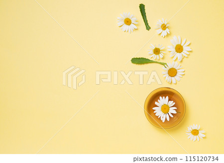 Concept flat lay with beautiful daisy flowers in a vase and scattered on a yellow background.  115120734