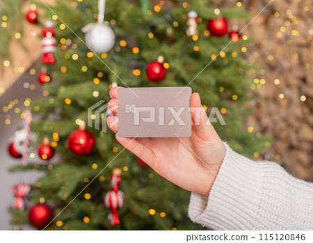 Hand holding credit card. Bank payment with mockup debit card. Money for woman, female online Hand holding credit card. Bank payment with mockup debit card. Money for woman, female online 115120846